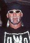 Hulk Hogan.jpg